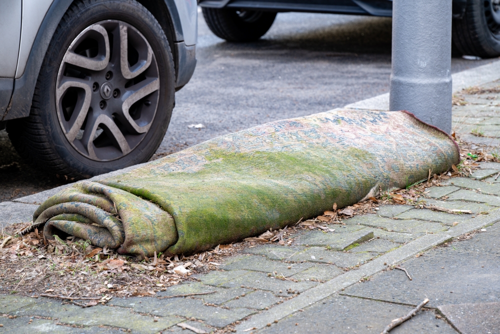 Bild Foto der Woche