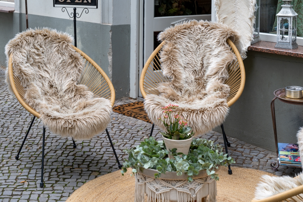 Bild Foto der Woche