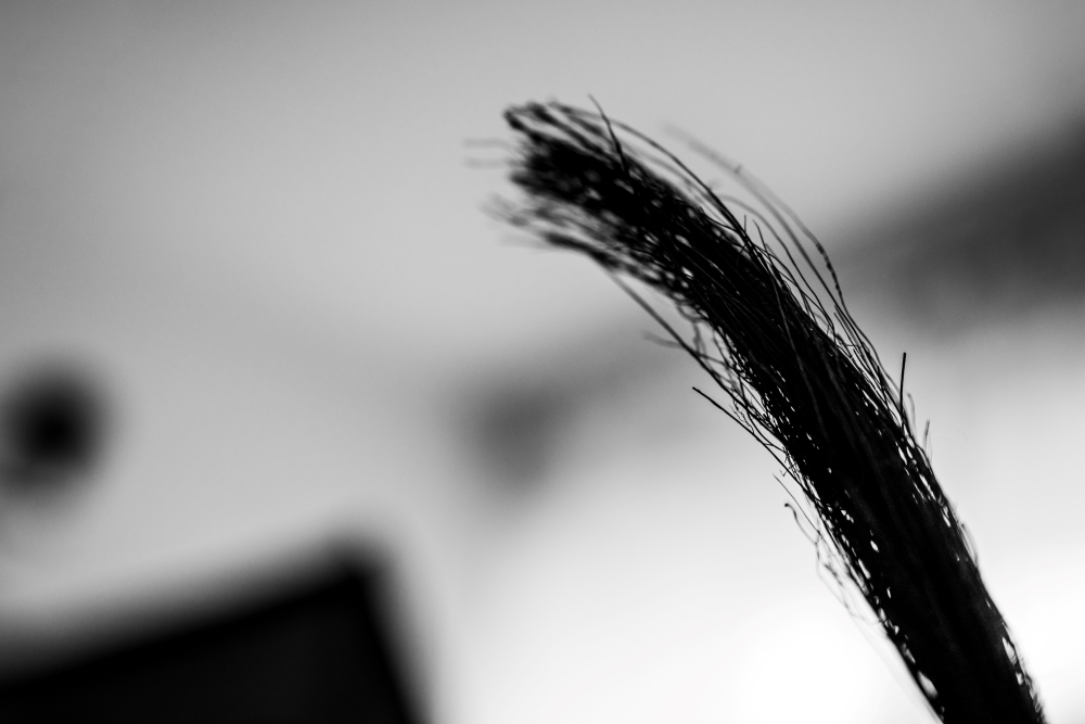 Bild Foto der Woche