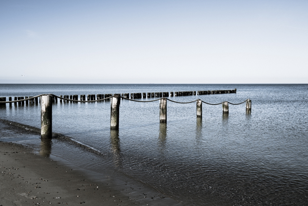 Bild Foto der Woche